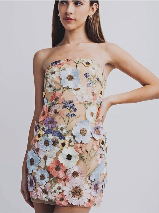 Dresses & Skirts - Strapless Floral Appliqué Mini Dress - Nude Multi